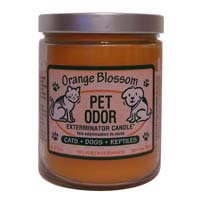 Pet Odor Exterminator 13oz Jar Candle - Orange Blossom
